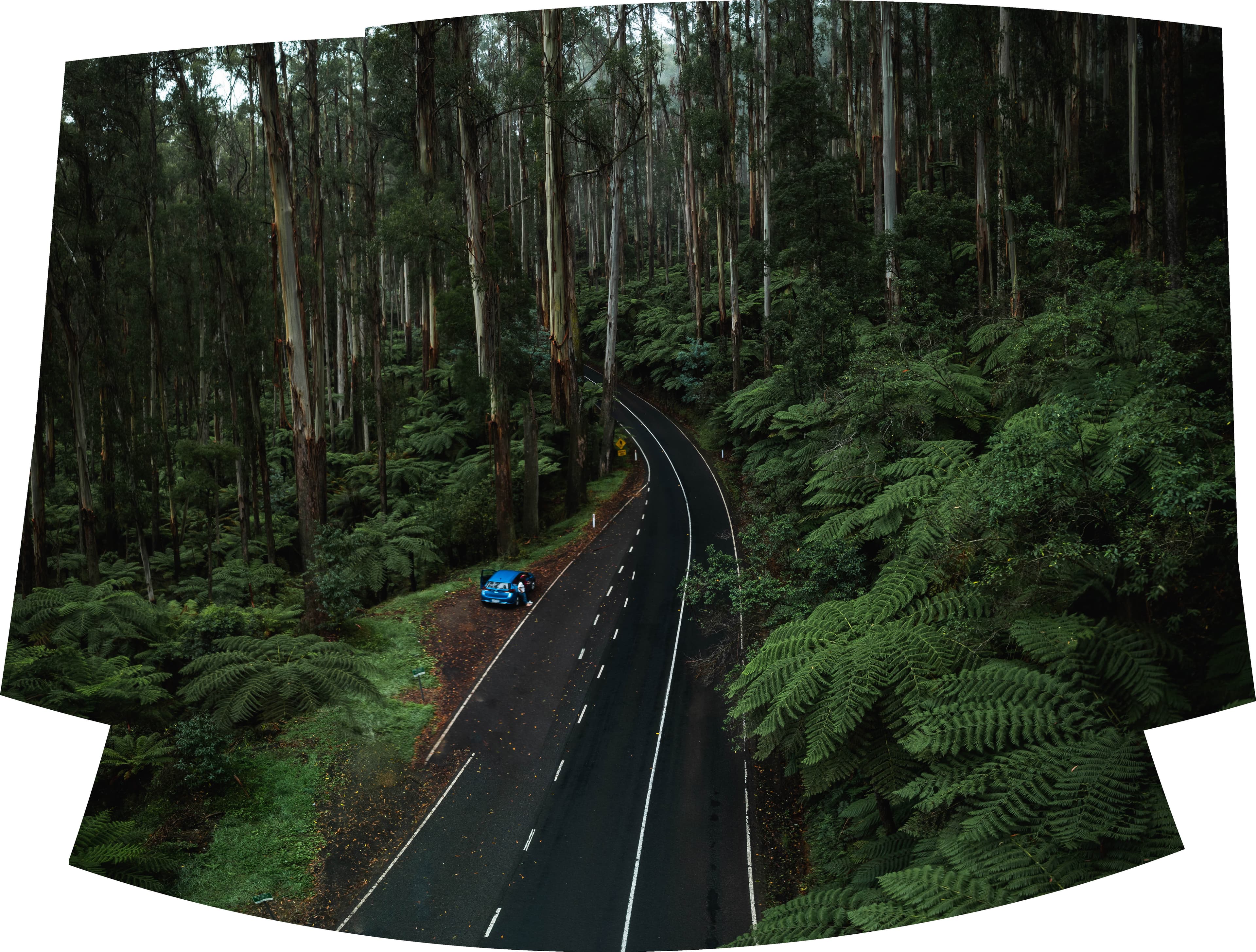 20190422L1D 20cuntitledDJI 0109 Pano