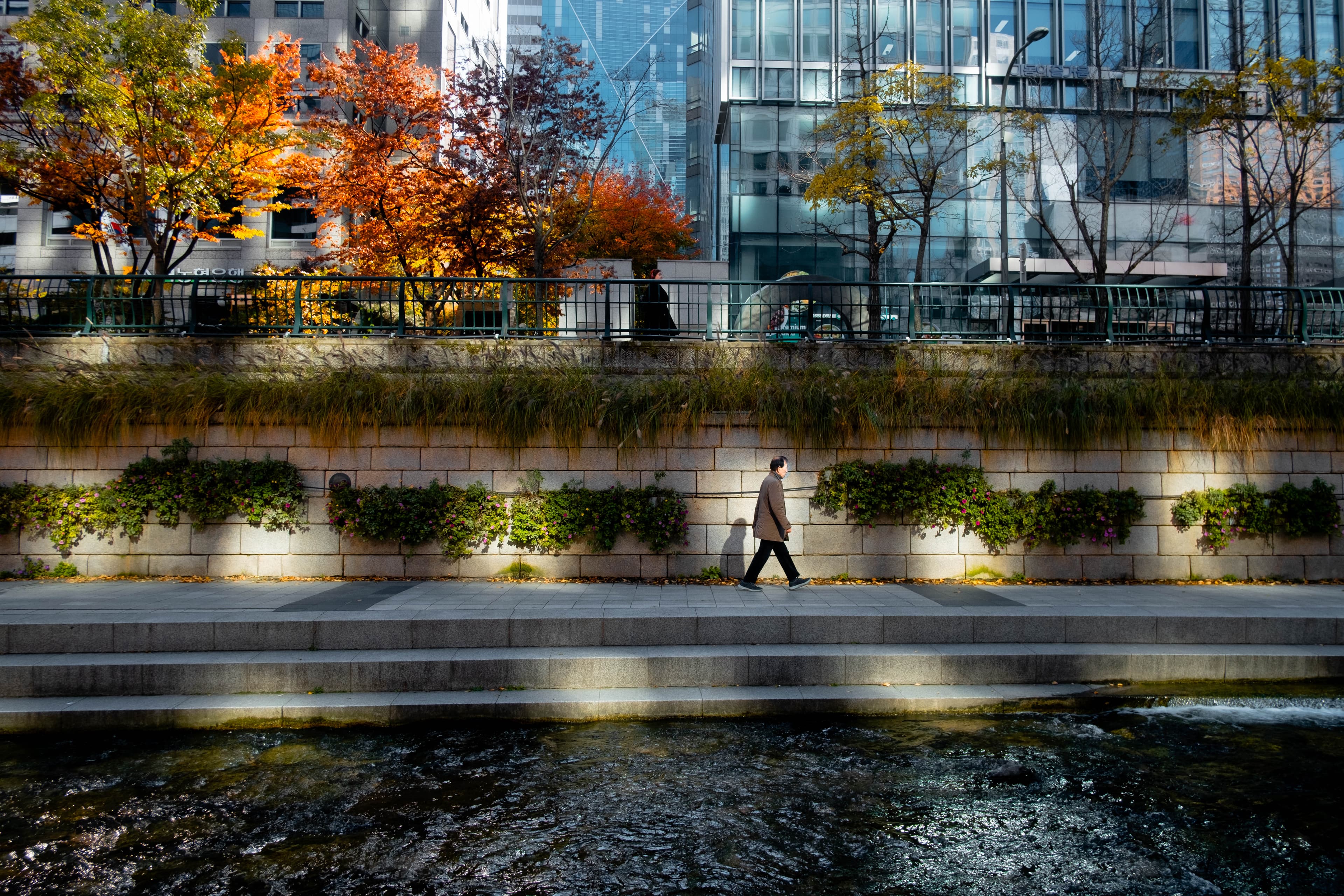 jhassan 515808 Seoul Korea 4